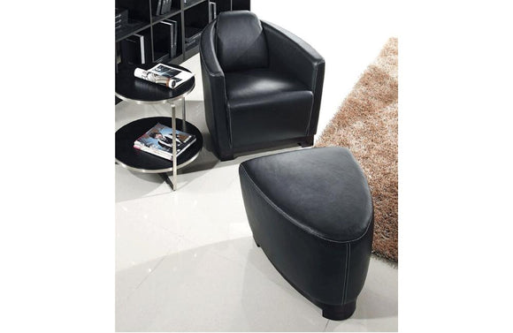 Nannos 2 PC Living Room Chair Set Black