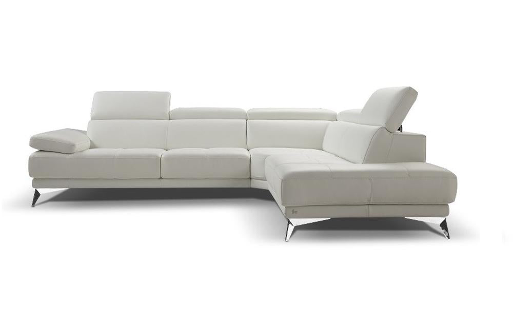 Fear Premium Leather Sectional Sofa