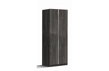 Presley Modern 2 Door Wardrobe