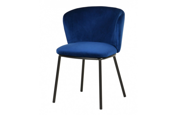 Boise - Modern Blue Velvet Dining Chair (Set of 2)