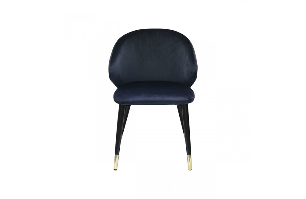 Modrest Elon Modern Blue Velvet Dining Chair (Set of 2)