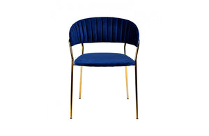 Modrest Brandy Modern Blue Fabric Dining Chair (Set of 2)