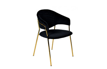 Modrest Trevor Modern Black Velvet & Gold Dining Chair (Set of 2)