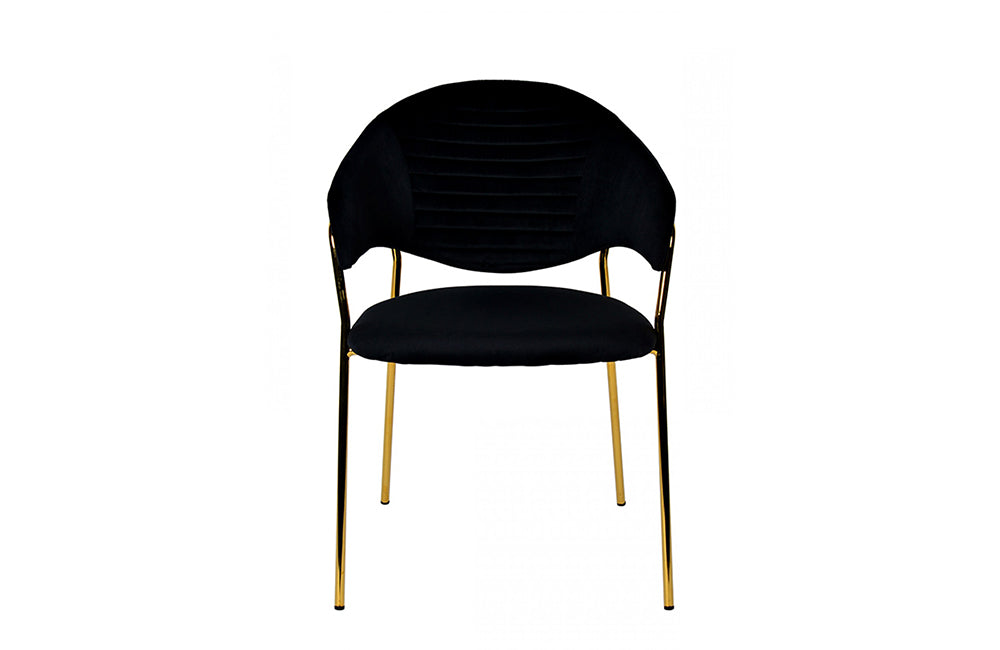 Modrest Trevor Modern Black Velvet & Gold Dining Chair (Set of 2)