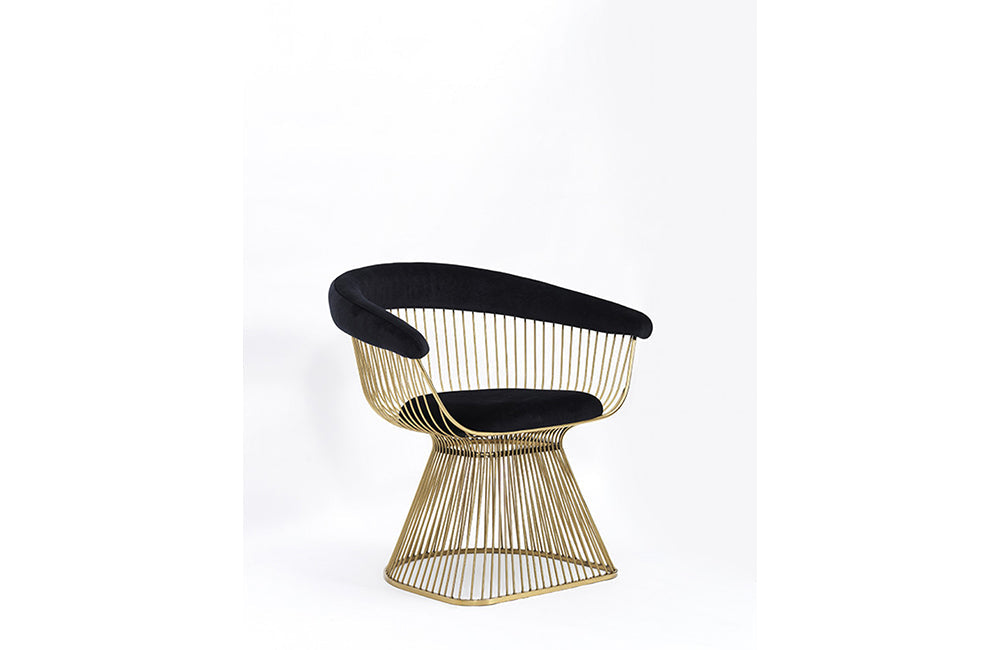 Modrest Chandler Black Velvet & Gold Dining Chair